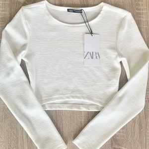 New Zara Long Sleeve Crops